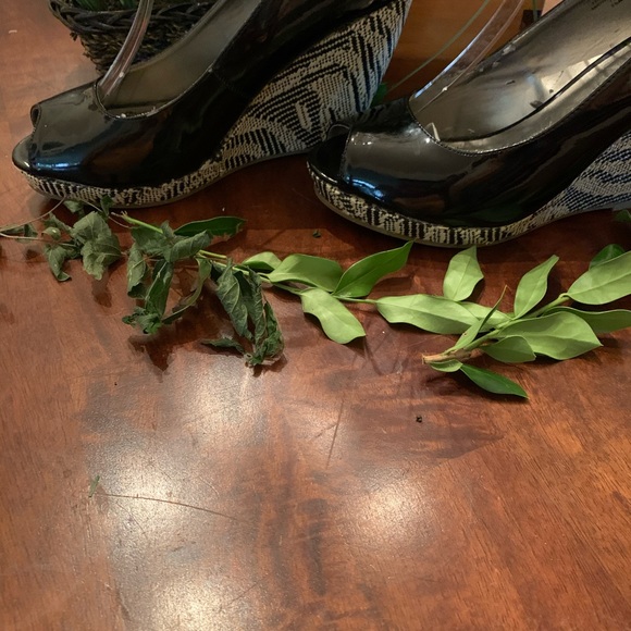 Sam and Libby black and white tweet wedge - Picture 15 of 16